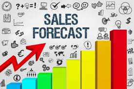 24 month sales forecast